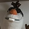 Profilbild von AÆE