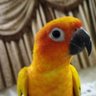 Фото профиля ابو تركي