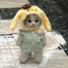 Zeynep's profile picture