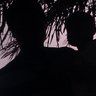 Olóyè Olúwakúyìdé 的头像