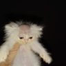Profilbild von massa 7;