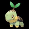 Turtwig's profile picture