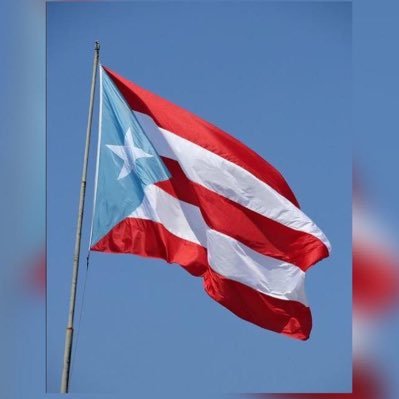 annytavarez22's profile picture