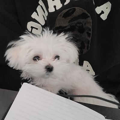 Kim's profile picture