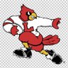 Birdman #GoCards #RavensFlock's profile picture