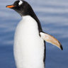 ディオリッシモ profil fotoğrafı