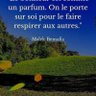 réunionnais974's profile picture