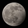 MOONHEAD 的头像