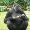 aldana dave's profile picture