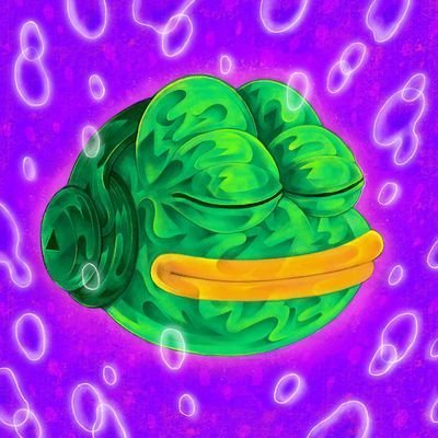 quentinbdb's profile picture