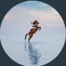 فارس profil fotoğrafı