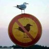 Sabri Taşdemir's profile picture