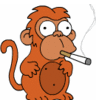 Profilbild von cosus