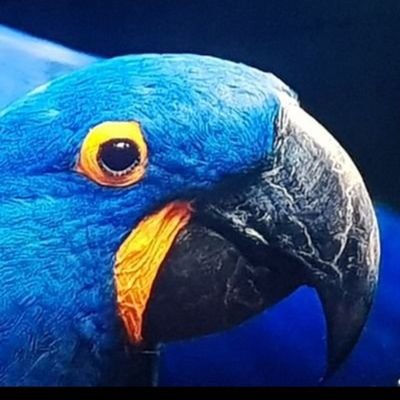 Pablo's profile picture