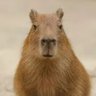 Фото профиля Evgeny Kolbasyoroff
