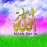 shiza khattak's profile picture