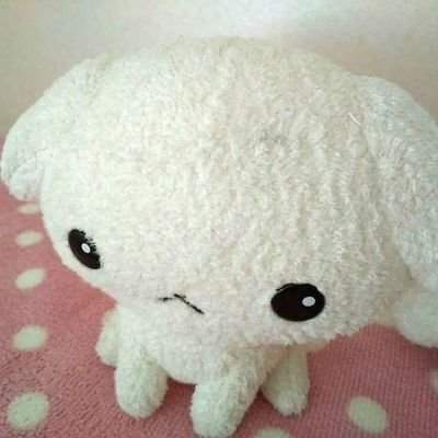 뀨르데's profile picture
