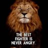 The Lion 的头像