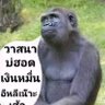Фото профиля สุริยัน สุ