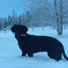 Ghost's profile picture