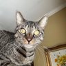 Profilbild von Lori