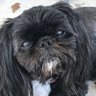 Baby Wants Bling's profile picture