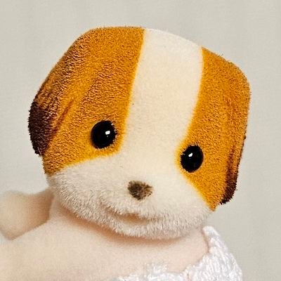 Roly_chu's profile picture