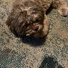 tedd's profile picture