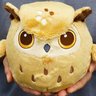 Takoluka's profile picture