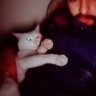 Profilbild von Ali abbasi