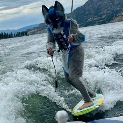 Skucha's profile picture