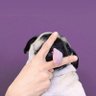 Emperor Ponape's profile picture
