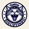 Фото профиля Gatos Discutindo