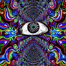 张同学 profil fotoğrafı