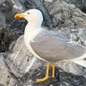 王煜 profil fotoğrafı
