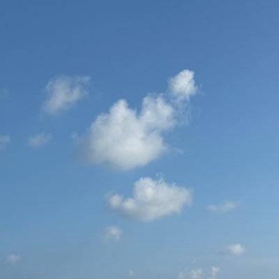 gngynq14274's profile picture
