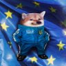 NAFO Brussel Battalion 的头像