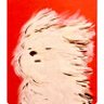 Фото профиля Teddytwophones