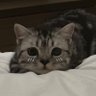 ey's profile picture