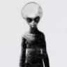 Profilbild von skinny bob