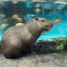 ゆっこ 的头像