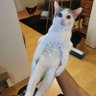 Jp profil fotoğrafı