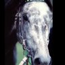 kazu's profile picture