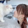 なべ's profile picture