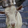 Фото профиля Fionn Bheannach