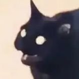 quqq28's profile picture