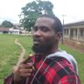 Edwin Ekanem's profile picture