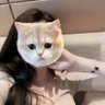 Profilbild von Bindu