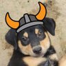 Rin75 ❤️ FLOKI GUYS profil fotoğrafı