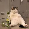 Profilbild von Innocent